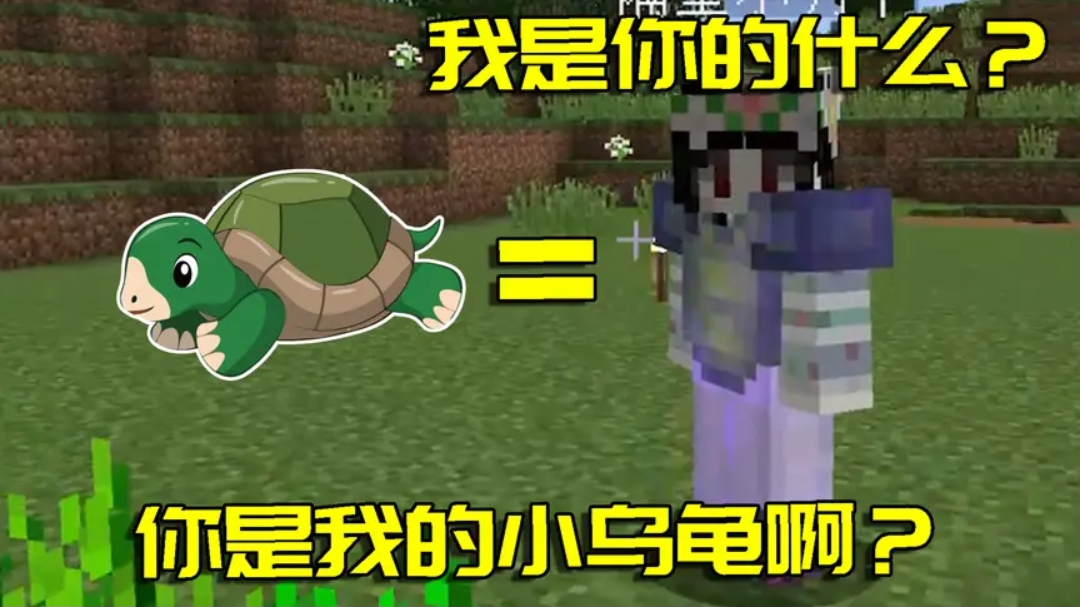 我的世界拔刀剑36:把小月想象成乌龟的样子,差点遭到一顿毒打!
